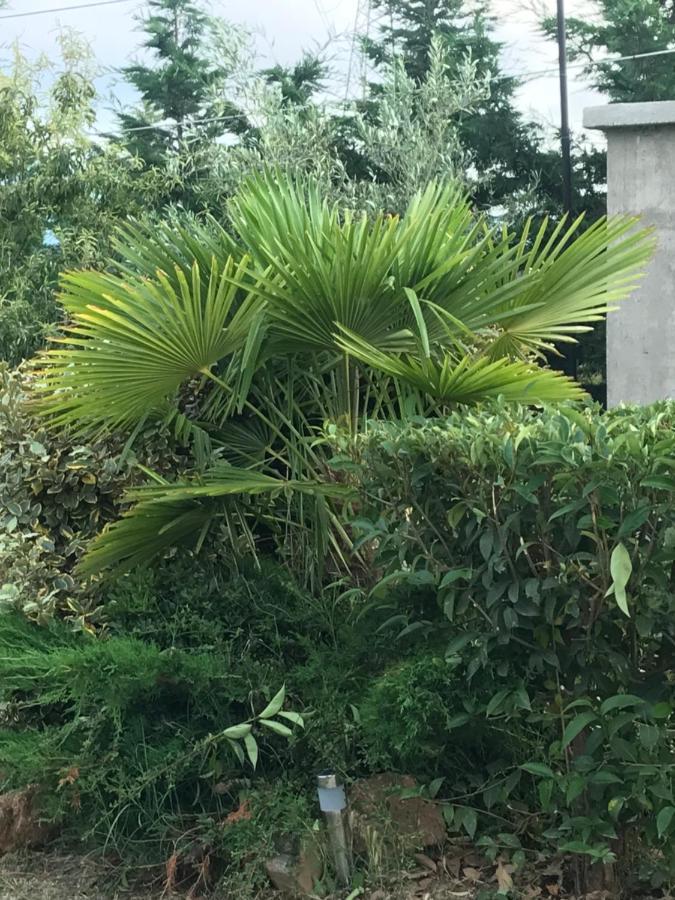 艾斯普罗瓦塔Casa Dei Fiori别墅 外观 照片